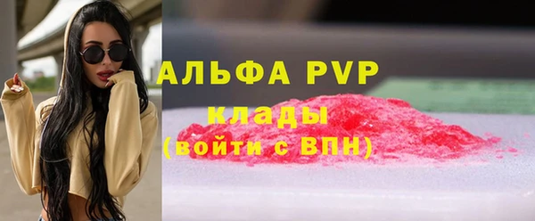 Альфа ПВП Аркадак