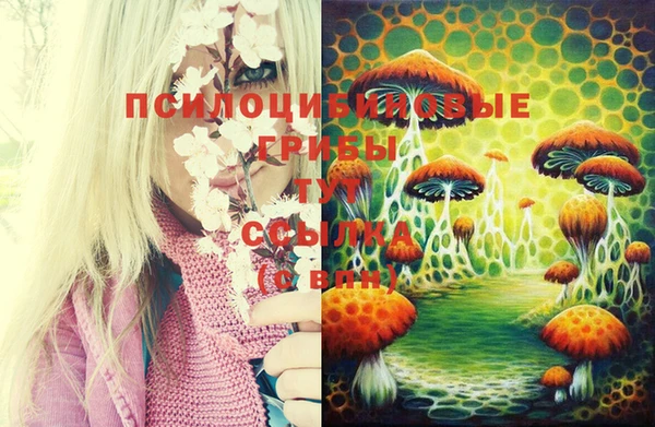 стафф Армянск