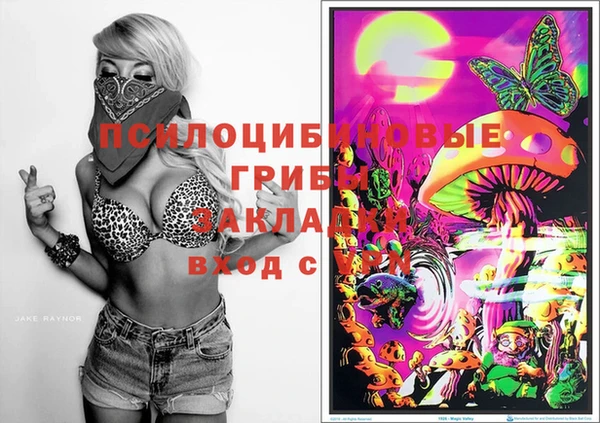 Альфа ПВП Аркадак