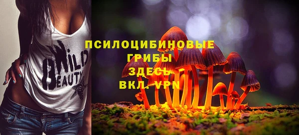 меф Арсеньев