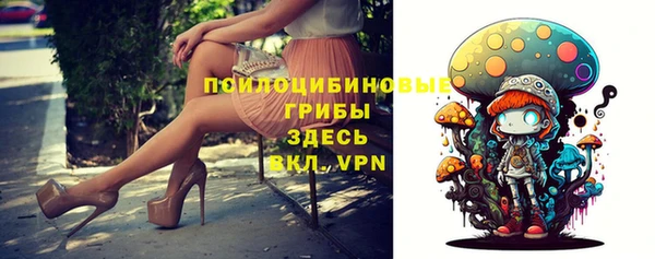 меф Арсеньев