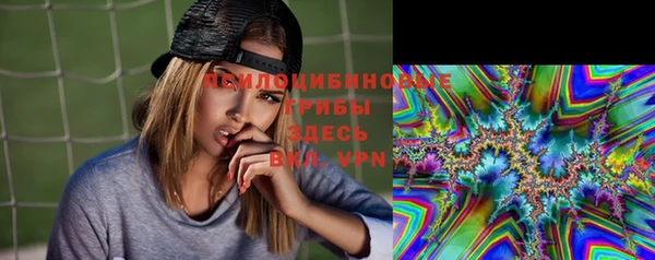 меф Арсеньев